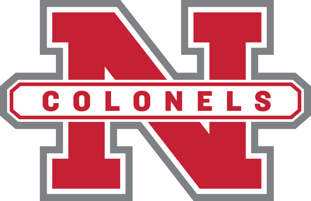 Nicholls State Colonels 2005-2008 Secondary Logo diy fabric transfer